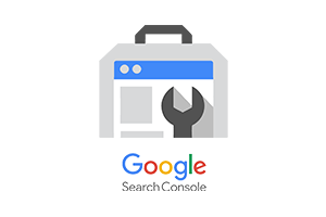 Asdela Digital marketing Agency SEO Google Search Consol