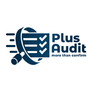 Plus Audit Egypt logo adsela digital marketing agency