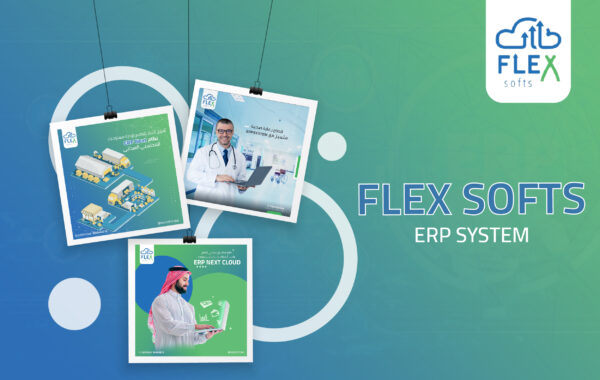 Flex-softs-erp-designs-adsela-marketing-solutions-agency
